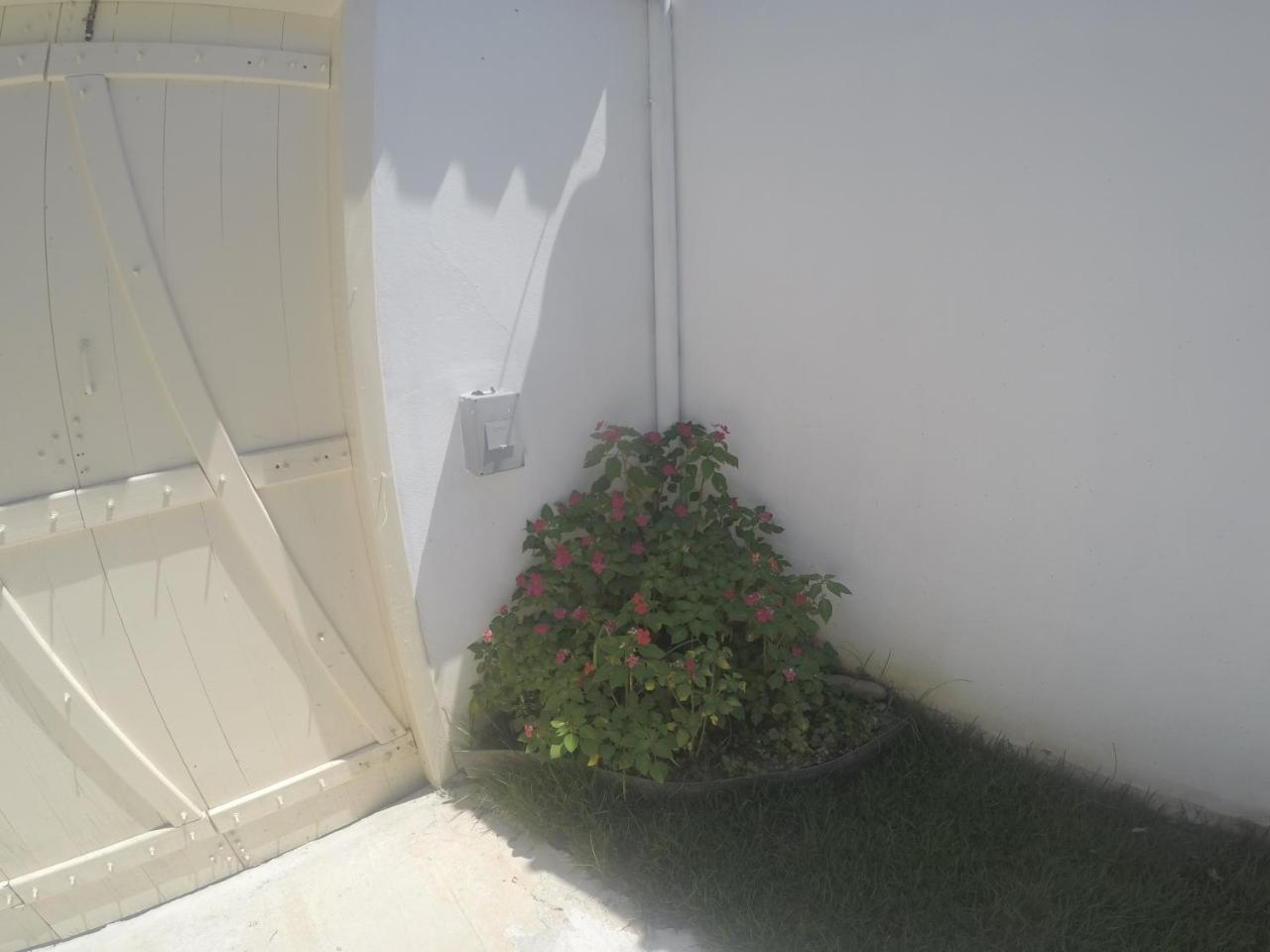 Residencial Flor De Ipe Villa Paraty Exterior photo